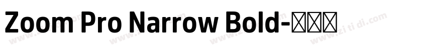 Zoom Pro Narrow Bold字体转换